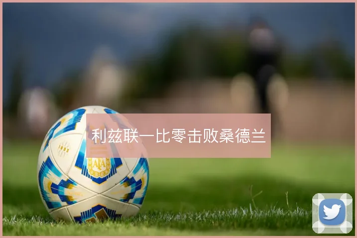利兹联一比零击败桑德兰
