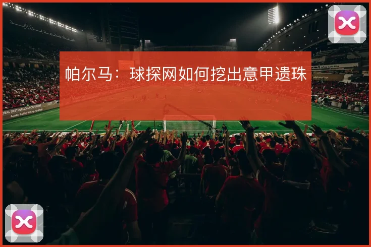 帕尔马:球探网如何挖出意甲遗珠