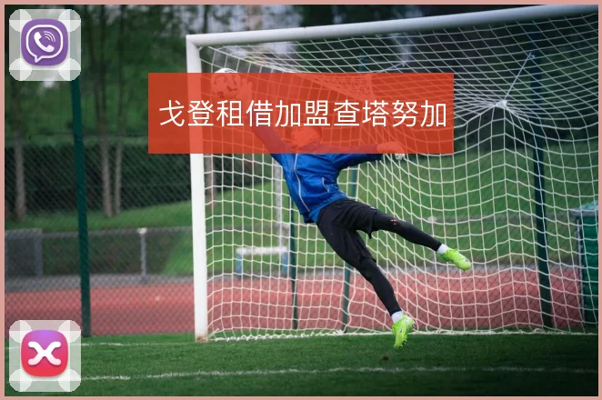 戈登租借加盟查塔努加