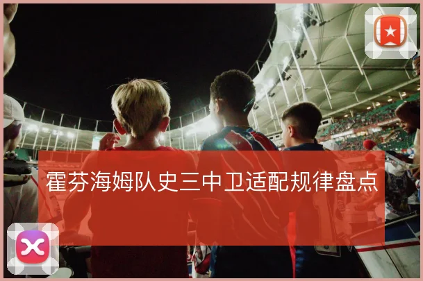 霍芬海姆队史三中卫适配规律盘点
