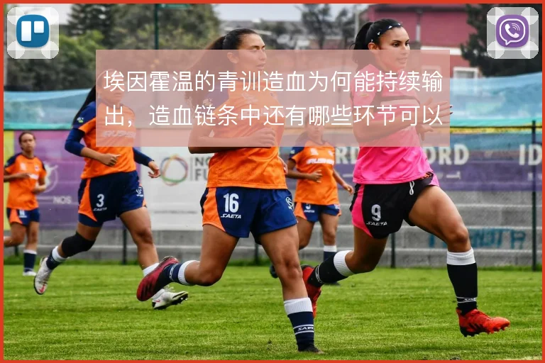 埃因霍温的青训造血为何能持续输出，造血链条中还有哪些环节可以复制